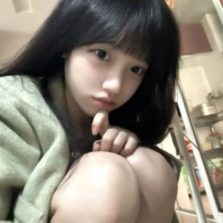 北好莱坞 在线观看封面